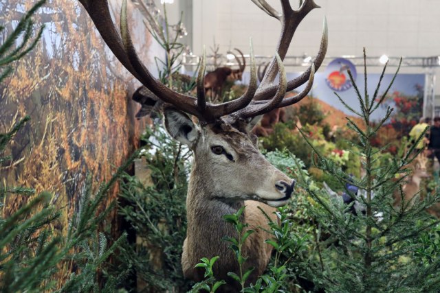 Treba li zabraniti lov u Srbiji? VIDEO