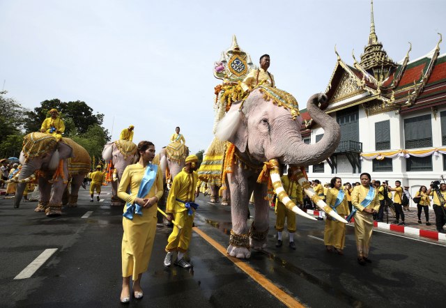 Slonovi kleknuli u slavu novog tajlandskog kralja FOTO