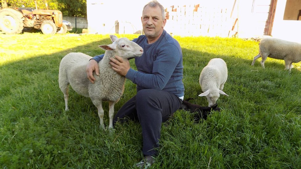 Ovèarstvo: "Sajber pastir" Milorad živi u Austriji, a u selu Dobrnje uzgaja posebnu vrstu ovaca
