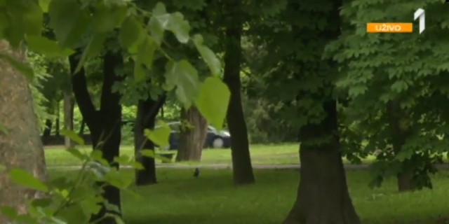 BG: Verovali ili ne - automobilima jure kroz park kako bi izbegli gužvu na ulicama VIDEO