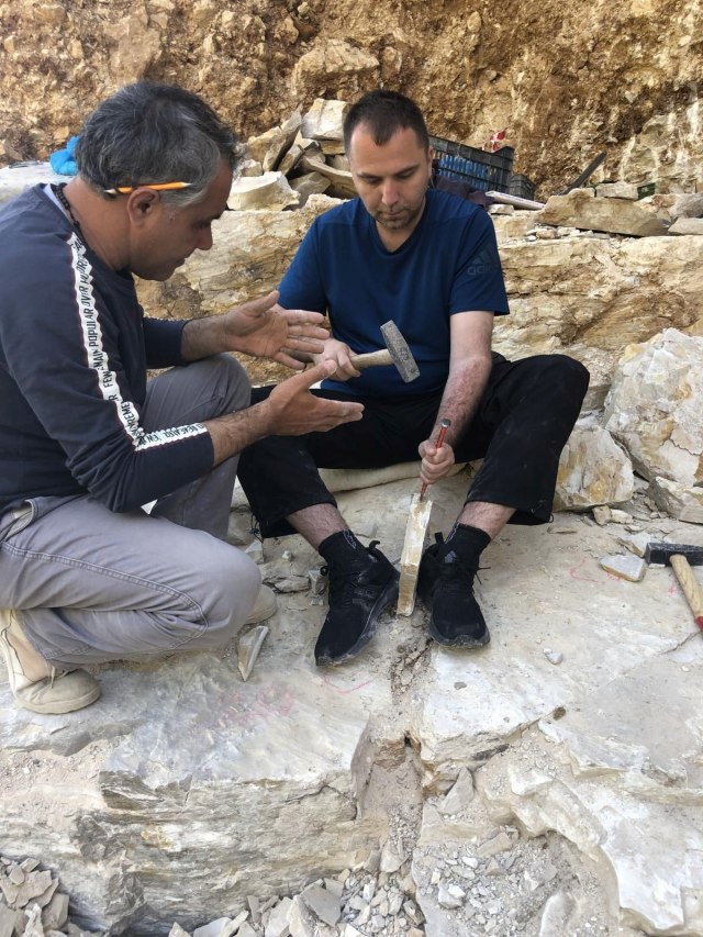 Ekskluzivno za B92 iz Libana: Naðen pterosaurus, a moj "ulov" trajaæe do kraja vremena VIDEO