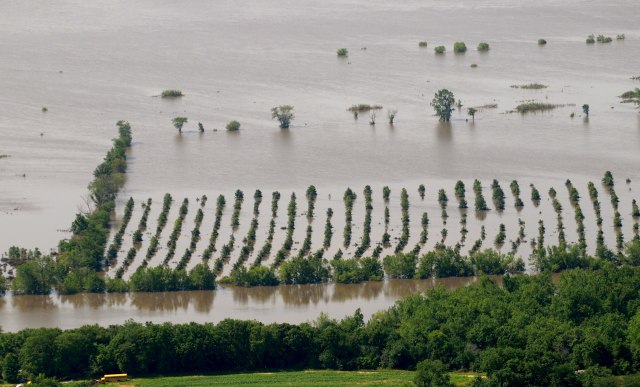 "Država da odreši kesu i pomogne poljoprivrednicima zbog nepogoda"