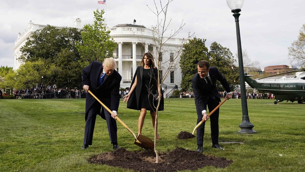 Makron šalje novo drvo prijateljstva Trampu