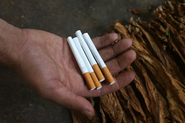 Veće akcize podstakle šverc: Svaka druga paklica cigareta nelegalna