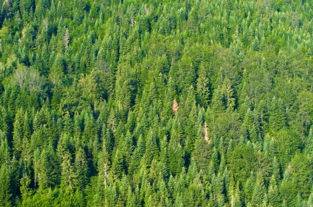 Krenula realizacija jednog od najveæih "zip lajn" projekata u Srbiji