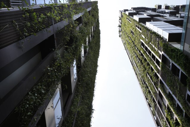 Kuæe buduænosti: Zidovi s pametnim biljkama kontrolisaæe kvalitet vazduha
