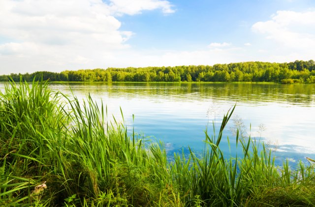 Ovde je smeštena četvrtina flore Srbije: Jezero kraj Pirota nudi nepregledne lepote