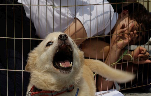 I ove godine obeležen Dan psećeg mesa, među okupljenima i Kim Bejsindžer