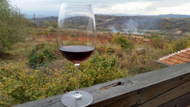 Doktor nauka vratio se na selo:  Preuzeo stari vinograd i sada pravi vino