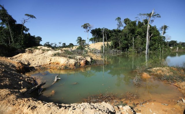 Zabrinjavajuæe: Amazonska prašuma nestaje brzinom od tri fudbalska igrališta po minutu
