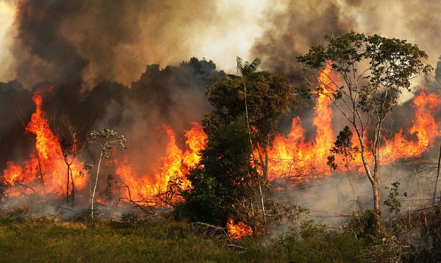 SAD ne pružaju konkretnu pomoæ Brazilu u borbi protiv požara
