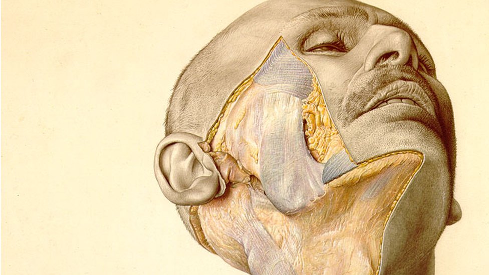Eduard Pernkopf: Hirurzi i dalje koriste nacistièku knjigu anatomije