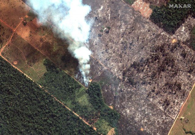 Požari u Amazoniji divljaju, a sa njima i 