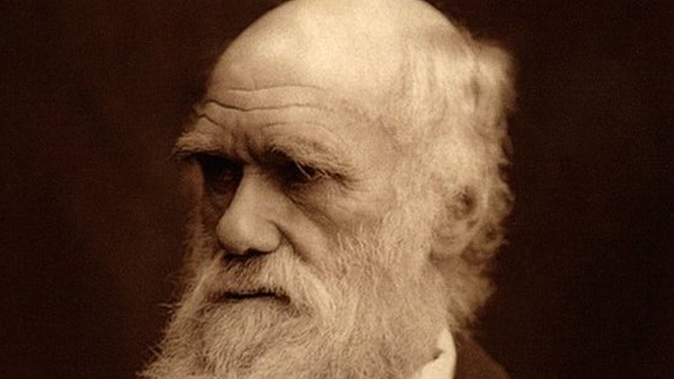 Da li je "gnusna misterija" koja je muèila Èarlsa Darvina do kraja života i danas aktuelna