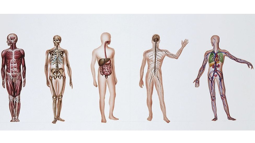 Doniranje tela medicini: Telo zaveštano nauci &#x2013; ali korišæeno za testiranje bombi