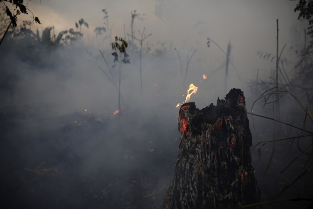 17. dan Amazon gori i vatra uopšte nije pod kontrolom