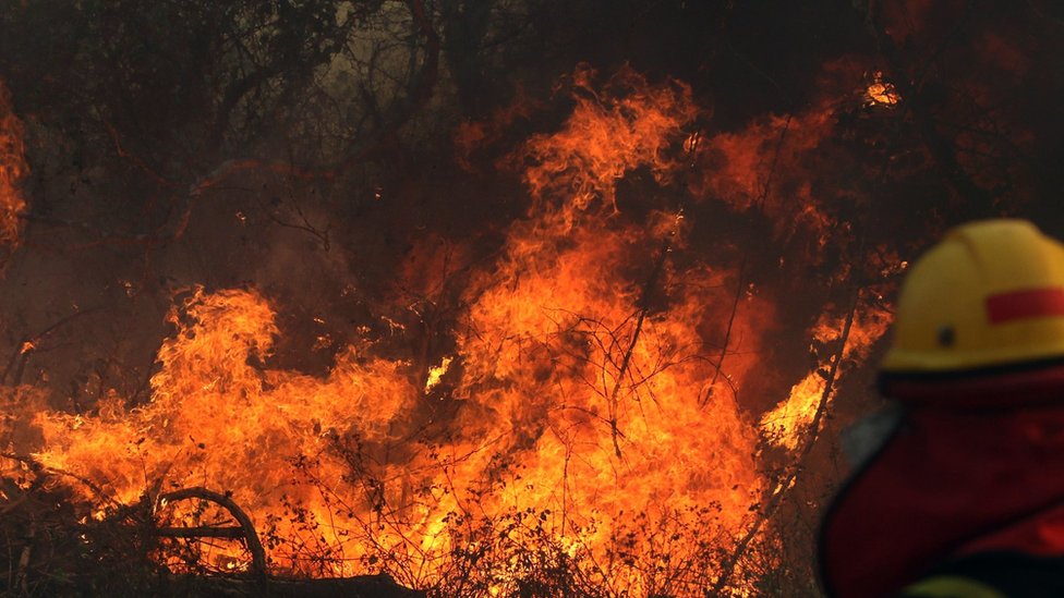 Amazonija gori, ali mnogo više požara u Angoli i Kongu