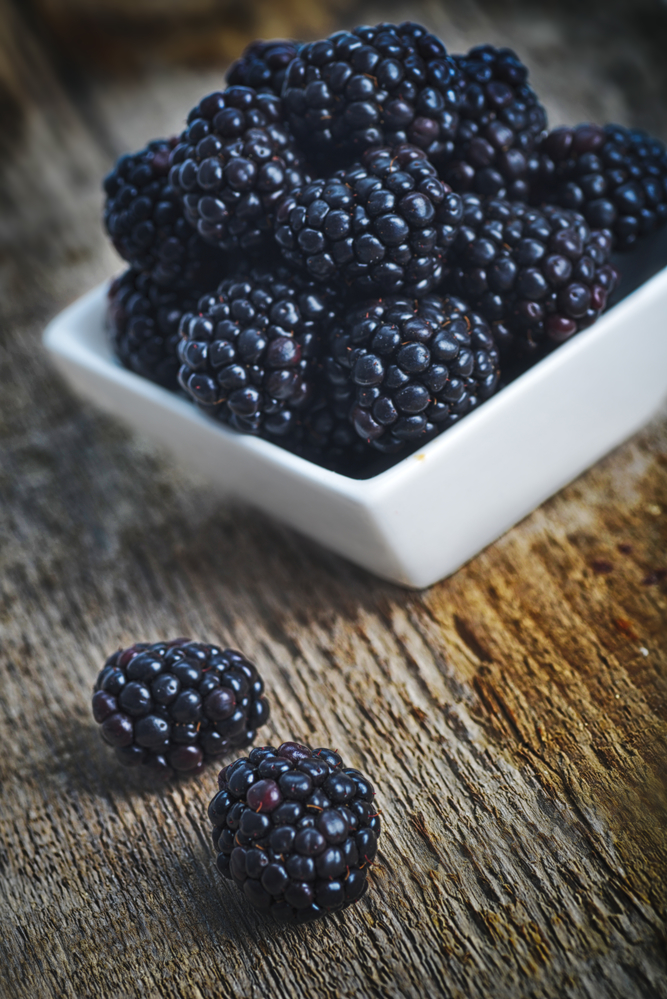 Tako male, a neverovatno moćne: Navalite na kupine, čuvaju nam zdravlje!