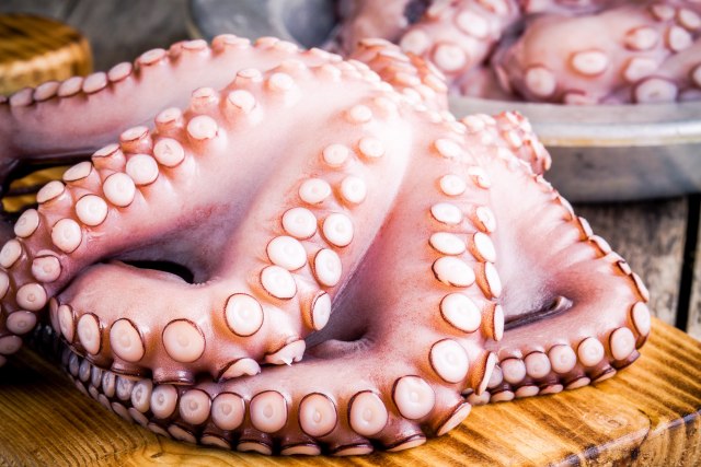 Milioni ljudi širom sveta jedu hobotnice, a evo zašto to nikako ne treba da rade