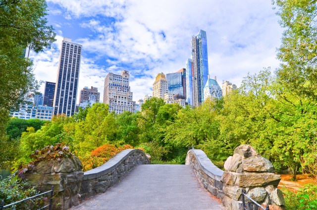 Central park dobija novi izgled: Projekat od 150 miliona dolara popravlja oazu Njujorka