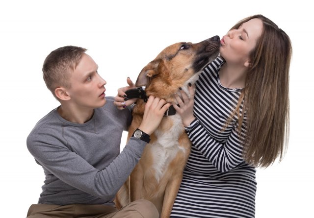 Da li je pas važniji od partnera?