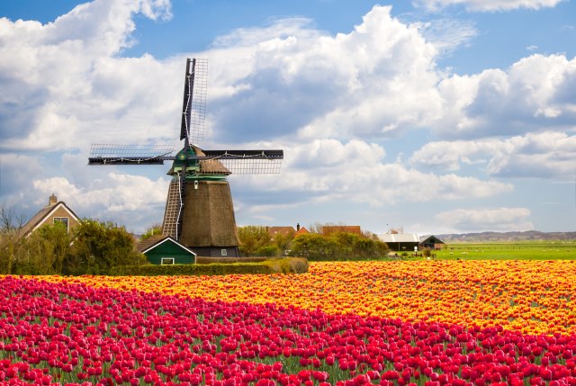 Holandija ili Nizozemska, šta vi mislite...