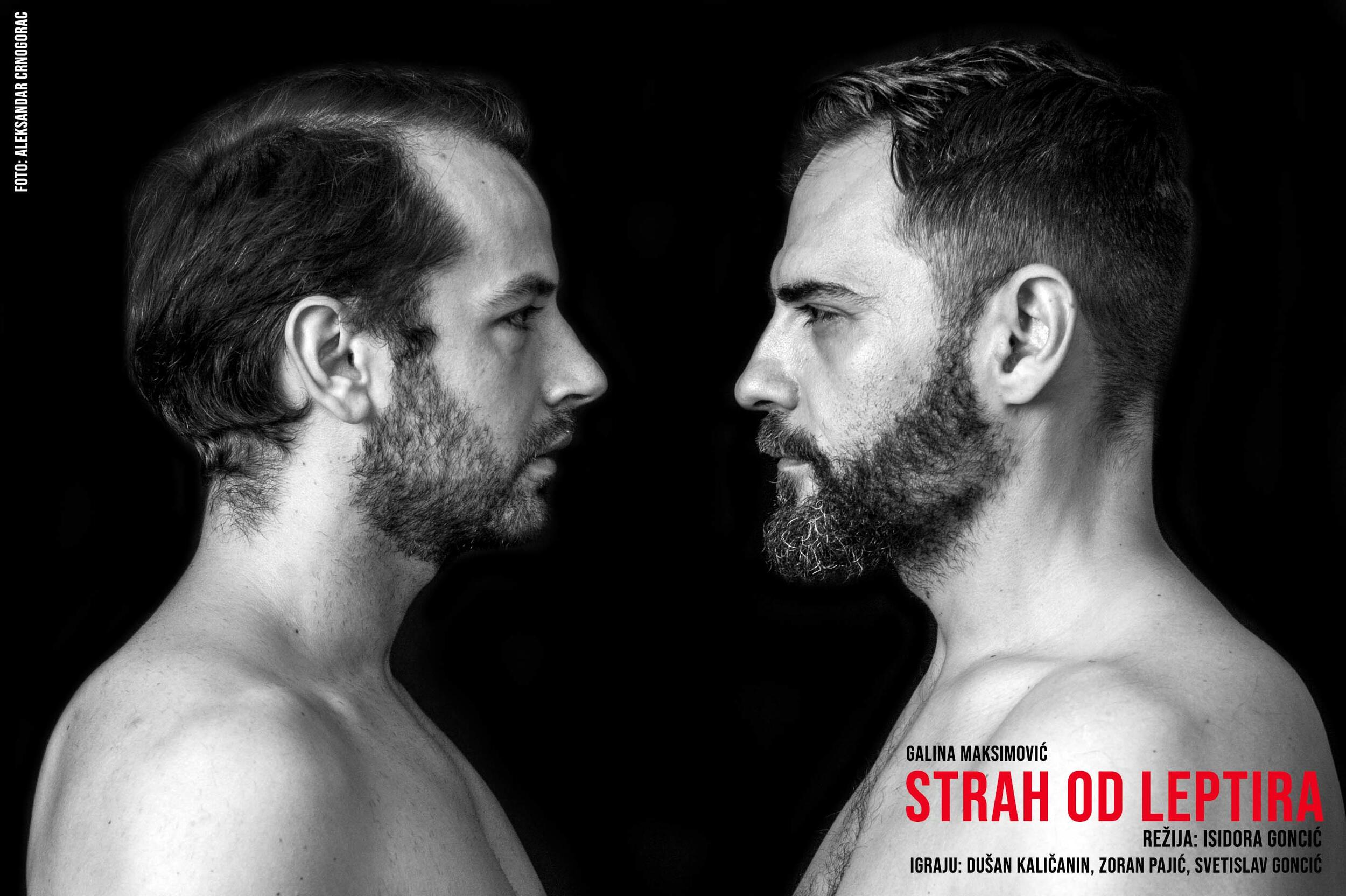 Vodimo vas u Teatar Vuk na predstavu 