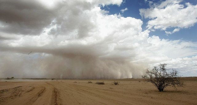 Zbog suše preti katastrofa: Ugroženo 45 miliona ljudi