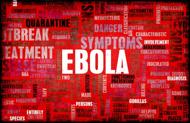 "Iskoreniæemo epidemiju ebole do kraja godine"