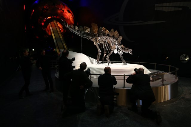 Onlajn aukcije: Jagma za fosilima dinosaurusa