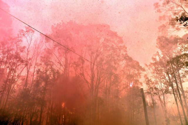 U Australiji besne mega požari, Sidnej u dimu VIDEO