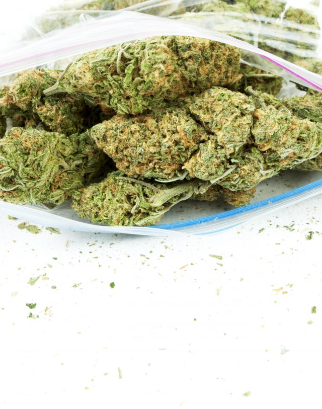 Hrvatska policija pronašla 27 kilograma marihuane u vozilu srpskih tablica