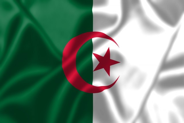 Nakon masovnih protesta: Izrada novog ustava Alžira