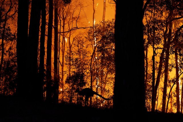 Vatrogasci u Australiji zapalili kontrolisani požar, 20 kuæa izgorelo, 450 bez struje VIDEO