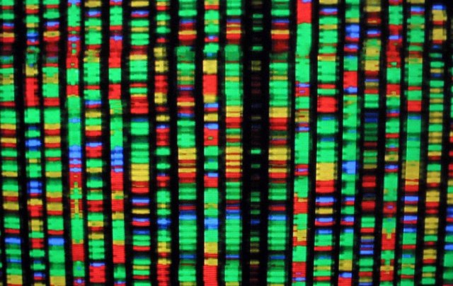 Tehnologija u epruveti: Naučnici napravili računar od DNK lanca