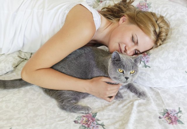 Da li maca treba da spava u vašem krevetu?