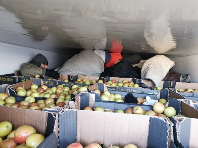 Carinici uhvatili migrante u hladnjaèi punoj jabuka FOTO