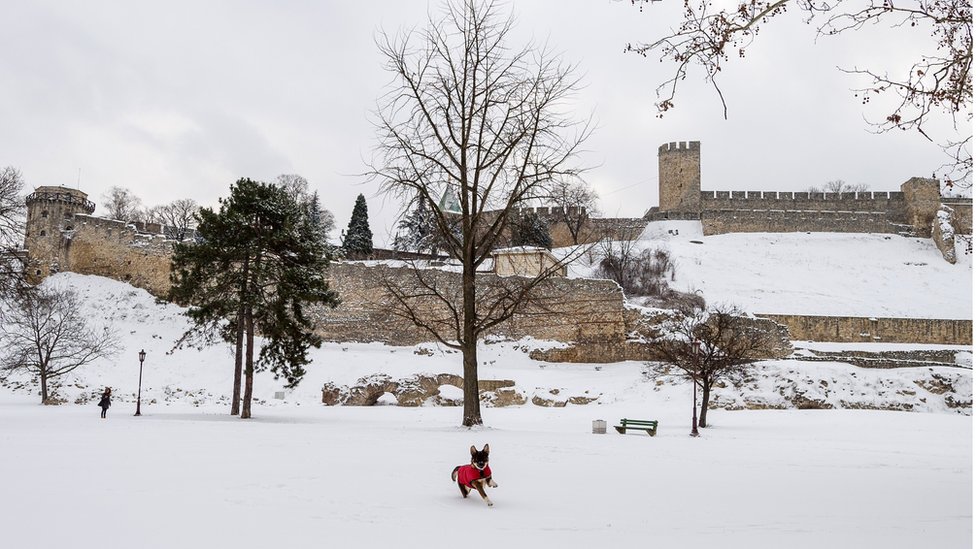 Vremenska prognoza i rekord: Kada će (konačno) pasti sneg u Beogradu
