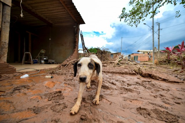 Poplave u Brazilu se nastavljaju, do sada poginula 61 osoba