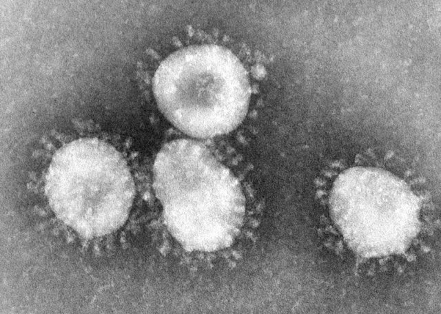 BBC: "Super-spreaders" scatter corona virus worldwide; WHO: A serious threat
