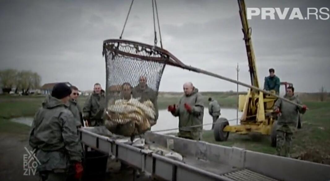 Ribolov na Aljasci za desetostruko veće dnevnice: „Samo se srpski priča, čak su i šefovi naučili srpski