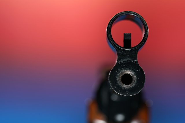 Neko u Boru puca na kućne ljubimce iz vazdušne puške: Policija traga za ubicom
