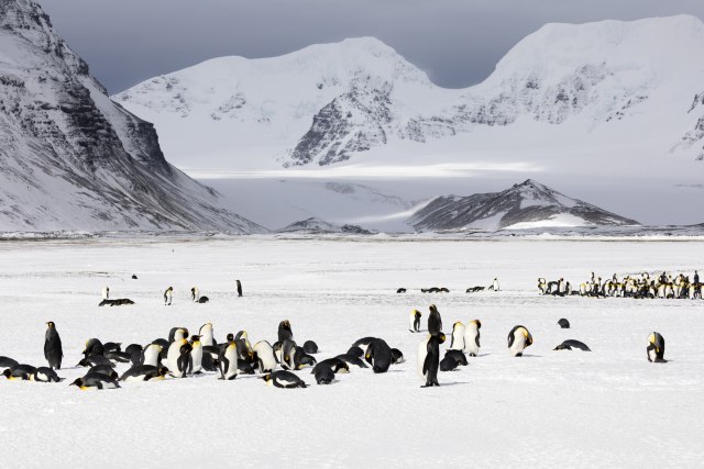 Nenormalni uslovi: Na Antarktiku toplije nego u Srbiji
