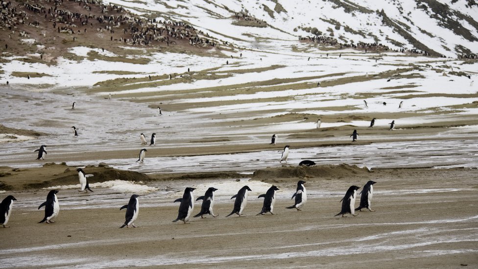 Antarktik i globalno zagrevanje: Proleænih 20 stepeni u svetu veènog leda