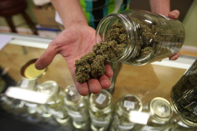 Pronađena laboratorija za uzgoj marihuane u Pančevu, troje uhašpeno