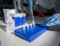 EPA-EFE/Tamas Soki HUNGARY OUT 