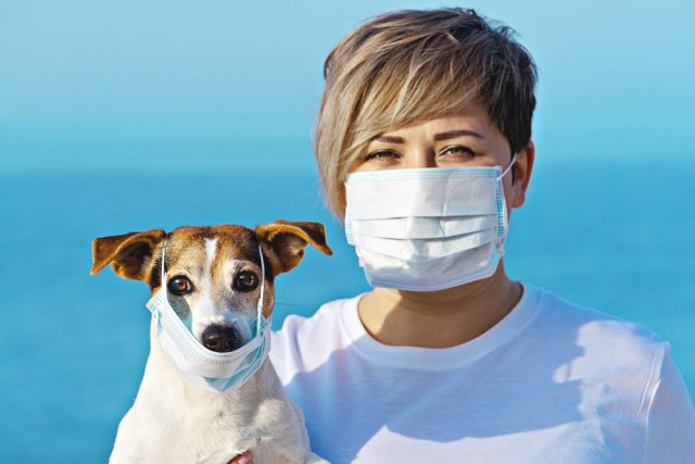 Pas zaražen koronavirusom? Ostaje u karantinu dve nedelje