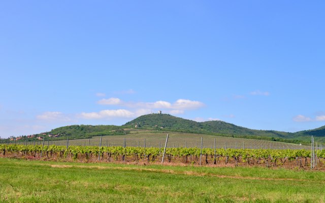 Vikend-destinacija u Vojvodini: Za avanturiste, ali i one željne odmora