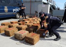 Ilustracija; Depositphotos/ kelpfish