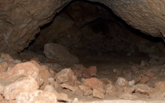 U Srbiji pronađeni ostaci najdrevnijeg pretka savremenog čoveka u Evropi VIDEO